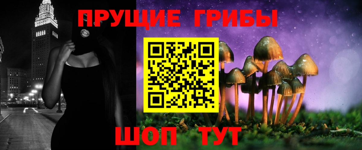 Вышний Волочёк  Галлюциногенные грибы Magic Shrooms  Вход с VPN 