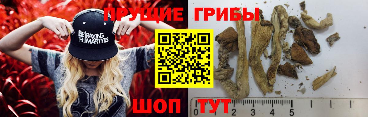 Псилоцибиновые грибы Magic Shrooms Вышний Волочёк
