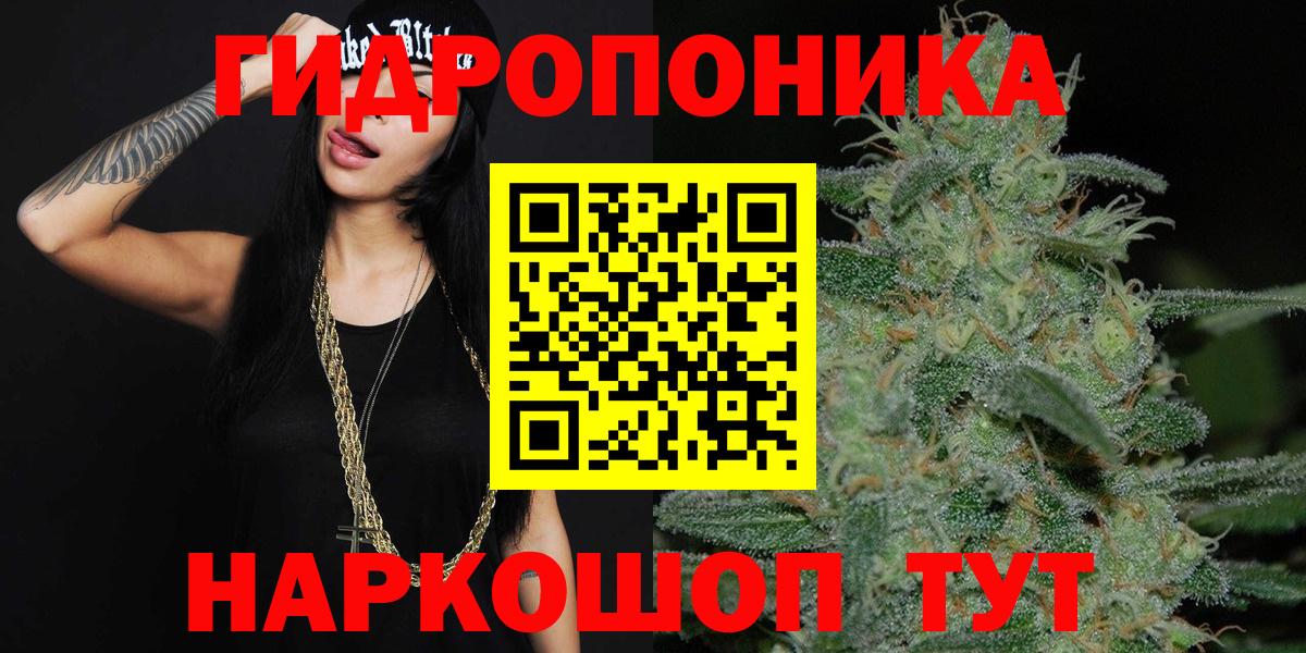 Шишки марихуана план  Шишки марихуана марихуана  Вход с VPN  Вышний Волочёк  МАРИХУАНА White Widow 